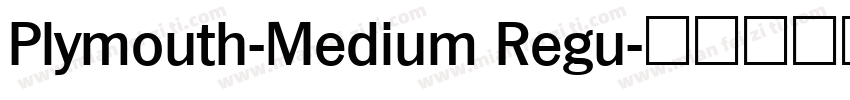Plymouth-Medium Regu字体转换
